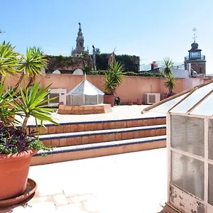 https://pajaritos-palace-apartment.es-andalucia.com